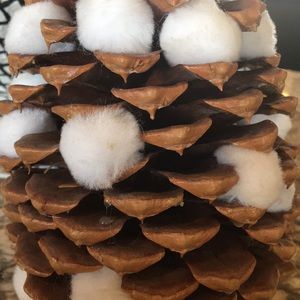 Meet your Posher, Shirlyn